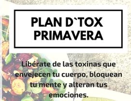 Taller Detox