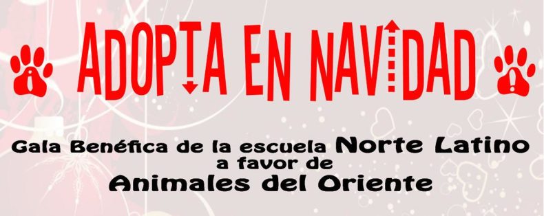 Adopta en Navidad